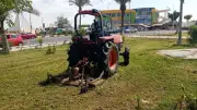 زراعة الأشجار والمسطحات الخضراء بالقنطرة شرق ضمن مبادرة 100 مليون شجرة