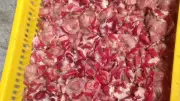 ضبط طن و100 كجم دواجن فاسدة في بورسعيد قبل تسللها للأسواق