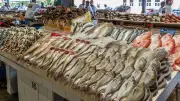 انخفاض قوي في أسعار الأسماك اليوم.. الجمبري يتراجع 100 جنيه والبلطي بـ89 الكيلو