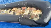 عثور على 12 جثة متحللة داخل زورق مطاطي قبالة سواحل سيدي براني
