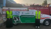 أورمان الدقهلية تطلق تقسيط صكوك الأضاحي على 12 شهرًا