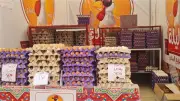 محافظ الدقهلية يتابع يومياً أسعار السلع بالمعرض الدائم والبيض بـ125 جنيهاً