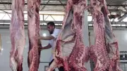 بيطري أسوان يشرف على ذبح 1281 أضحية في المجازر الحكومية بعيد الأضحى