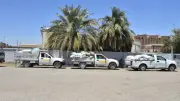 محافظ أسيوط: توريد 133 ألف و595 طن قمح محلي للصوامع والشون