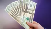 سعر الدولار اليوم الخميس 14 مايو 2026 مستقر أمام الجنيه في البنوك المصرية