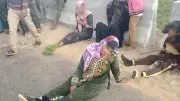 شهداء لقمة العيش.. مصرع شخصين وإصابة 15 في حادث تصادم بالمنوفية
