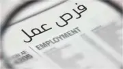 وظائف شاغرة براتب يبدأ من 15 ألف جنيه.. تعرف على شروط التقديم