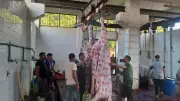 بني سويف تفتح 16 مجزراً لنحر الأضاحي مجاناً خلال عيد الأضحى