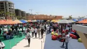 الجامعة الألمانية بالقاهرة تطلق ملتقى التدريب والتوظيف السنوي بمشاركة 170 شركة