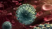 عزل 1700 راكب.. فيروس غامض يضرب سفينة فرنسية ورفع حالة التأهب