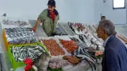 أسعار الأسماك والمأكولات البحرية في سوق العبور اليوم الأربعاء 20 مايو 2026