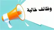 وظائف شاغرة براتب يصل إلى 20 ألف جنيه شهريا عبر بوابة فرصنا