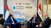 تنسيق مصري إماراتي في منتدى إسطنبول لخارطة طريق مؤتمر المياه 2026