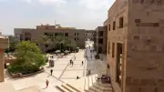 منح الجامعة الأمريكية بالقاهرة لطلاب المدارس الحكومية 2026: الشروط وطريقة التقديم