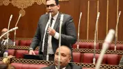 نائب بالشيوخ: مشروع قانون إلزام المباني الجديدة بالطاقة الشمسية خطوة لدعم رؤية مصر 2030
