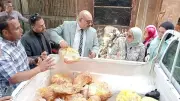 ضبط 204 مخالفات تموينية وغلق 13 محلاً تجارياً بالمنيا