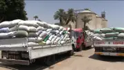 استبعاد 2066 طن قمح غير مطابق للمواصفات بصوامع سوهاج