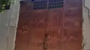 ضبط 212 قطعة غذائية منتهية الصلاحية في حملات تموين القليوبية