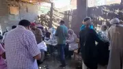 محافظ أسيوط: تسليم 216 رأس أغنام وماعز لـ100 أسرة منتجة بالفتح ومنفلوط