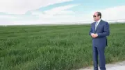 الرئيس السيسي يفتتح الدلتا الجديدة لزراعة 2.2 مليون فدان في إنجاز تاريخي