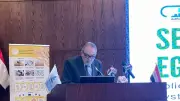 الوكيل: 22.3 مليون طن إنتاج حبوب ومصر تقترب من اكتفاء ذاتي 70%
