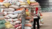 تحرير 228 محضرا تموينيا في المنوفية خلال حملات تفتيشية مكثفة