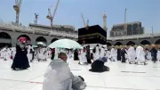 بعثة الحج السياحي: 24 لجنة ميدانية تعمل على مدار الساعة لخدمة ضيوف الرحمن