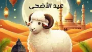 وزارة الزراعة تطرح اللحوم والسلع بتخفيضات تصل إلى 25% قبل عيد الأضحى