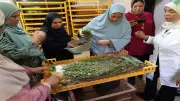 وقاية النباتات يؤهل 25 سيدة معيلة لإدارة مشروعات إنتاج الحرير الطبيعي
