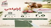 صندوق تحيا مصر يطلق مبادرة أضاحي لدعم 2.5 مليون مواطن للعام الثالث