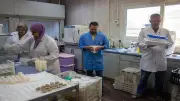 الزراعة: فحص 2500 عينة أغذية وحاصلات زراعية خلال أيام عيد الأضحى