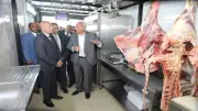 محافظ القاهرة يعلن توفير اللحوم بأسعار أقل من الأسواق بـ260 جنيها للكيلو