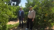 الزراعة: إزالة 27 حالة تعدي وأنشطة إرشادية لدعم المزارعين