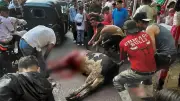 جزارون بأسيوط يذبحون الأضاحي بالشوارع رغم فتح 29 مجزرًا مجانًا