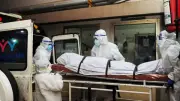 فيروس هانتا يودي بحياة 3 أشخاص على سفينة سياحية ولا دواء أو لقاح له