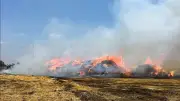 السيطرة على حريقين في شون الكتان والكاوتش بالغربية وخسائر 3 ملايين جنيه