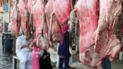 تحذير قانوني: حبس وغرامات تصل لـ30 ألف جنيه لبيع اللحوم الفاسدة في عيد الأضحى