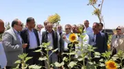 وضع حجر أساس المرحلة الثالثة لمشروع الجوجوبا بالغردقة على 3000 فدان