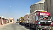 الوادي الجديد: توريد 303 آلاف طن قمح منذ بداية الموسم