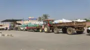 طفرة في توريد القمح المصري: 3.2 مليون طن بنسبة 64% من المستهدف