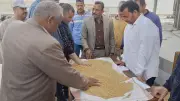 محافظ المنيا: استلام 362 ألف طن قمح في موسم حصاد 2026