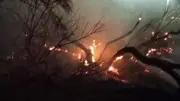 الدفع بـ4 سيارات إطفاء للسيطرة على حريق بمزرعة نخيل في الوادي الجديد