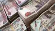 استثمار 400 ألف جنيه: خيارات آمنة ومشروعات مربحة لبناء دخل مستدام