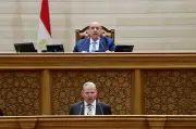 مجلس النواب يوافق على منحة 400 ألف دولار من البنك الإفريقي لمحطة أبو رواش