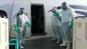 الصحة العالمية تتابع 440 مخالطا لركاب سفينة موبوءة بفيروس هانتا