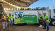 التضامن تستعد لتوزيع 50 عجلًا بلديًا على الأسر الأولى بالرعاية في المنوفية