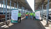 ذبح وتوزيع 50 ألف كيلو لحوم و50 عجلاً في عيد الأضحى بالمنوفية