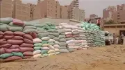 توريد 53.7 ألف طن قمح لصوامع أسيوط منذ بدء الموسم