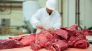 الحكومة تكشف تطورات أسعار اللحوم: اكتفاء ذاتي بنسبة 60% وتوسع في الأعلاف