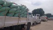 توريد 64 ألف طن قمح وصرف المستحقات فورًا لدعم المخزون الاستراتيجي بسوهاج